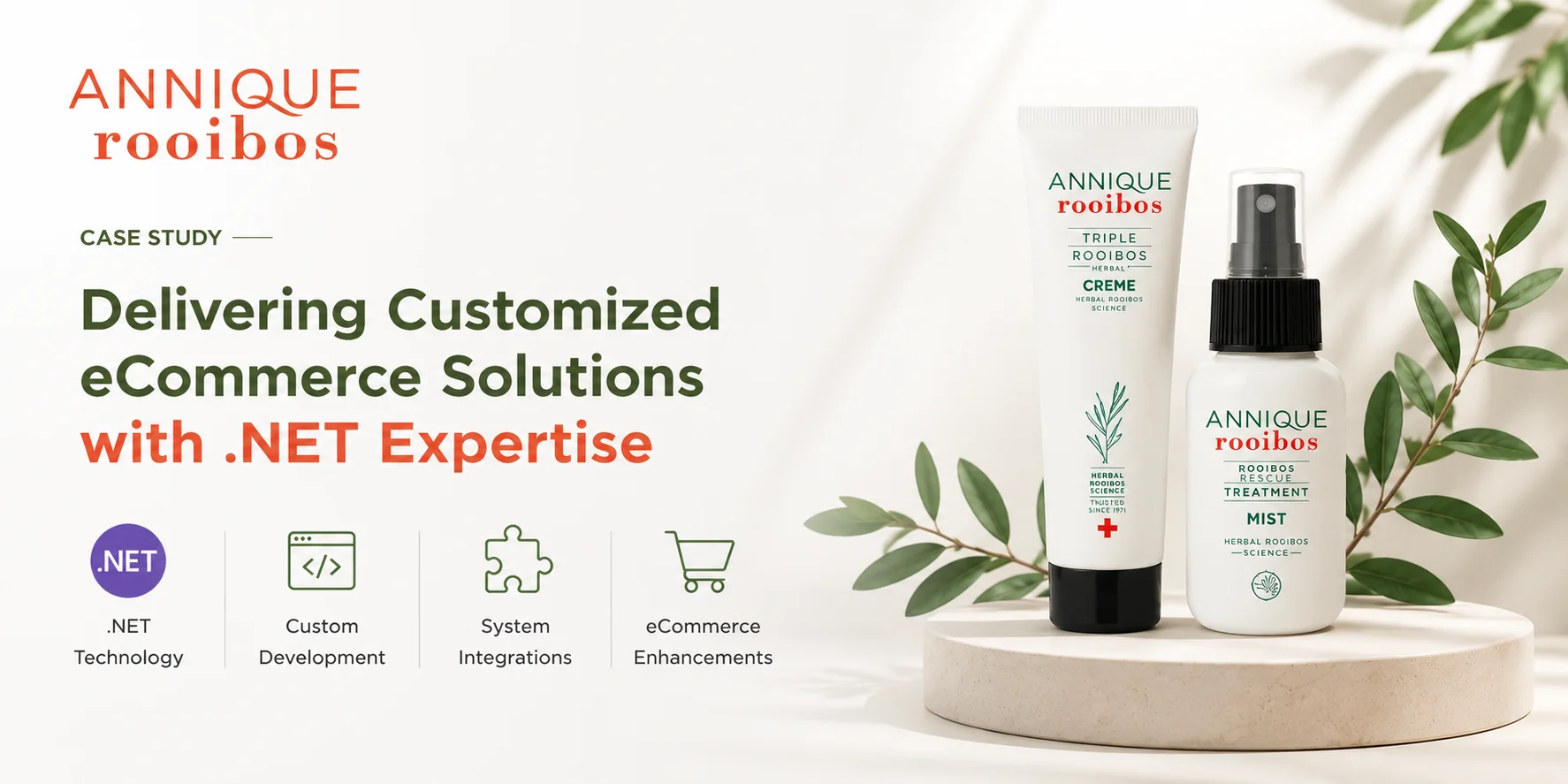 How Annique Accelerated Feature Delivery with a Dedicated .NET Developer
