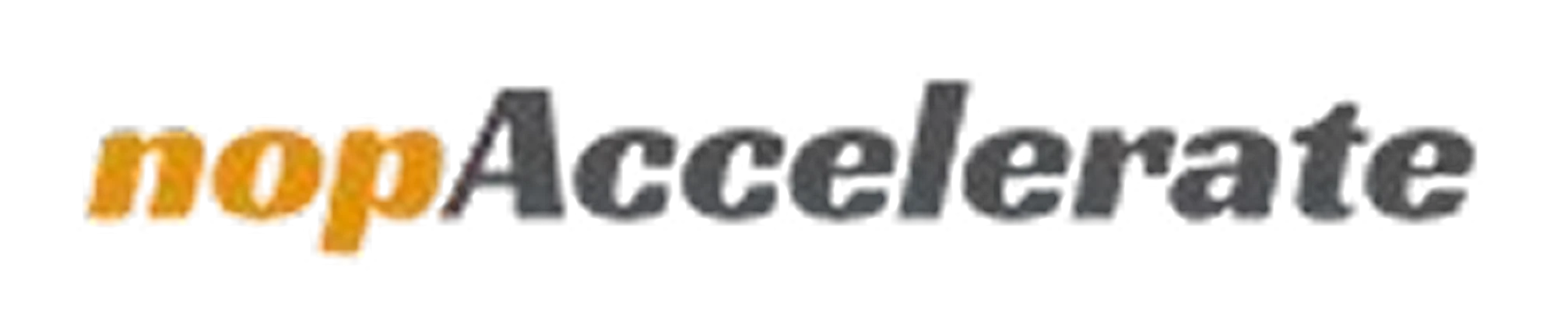 nopAccelerate Logo