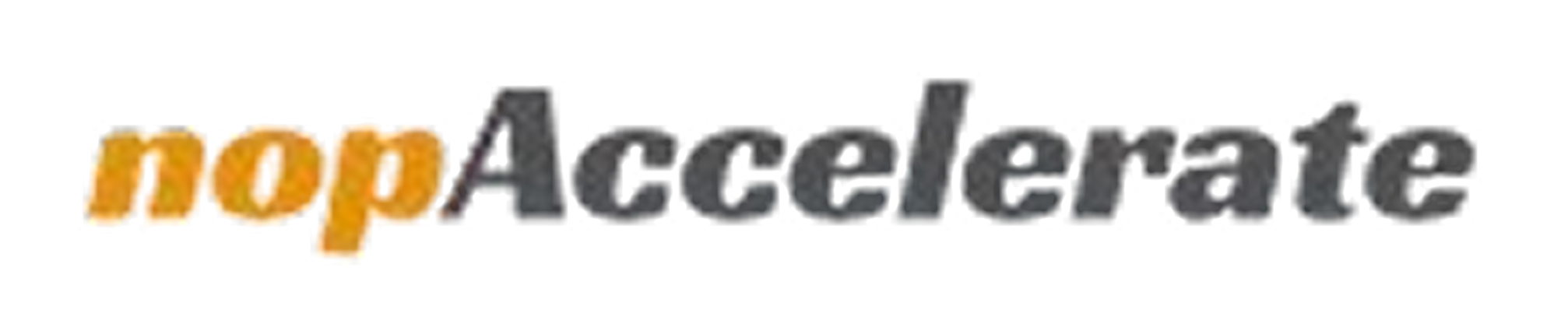 nopAccelerate Logo