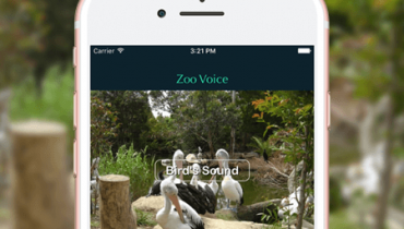 Zoo Voice